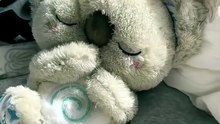1000209176