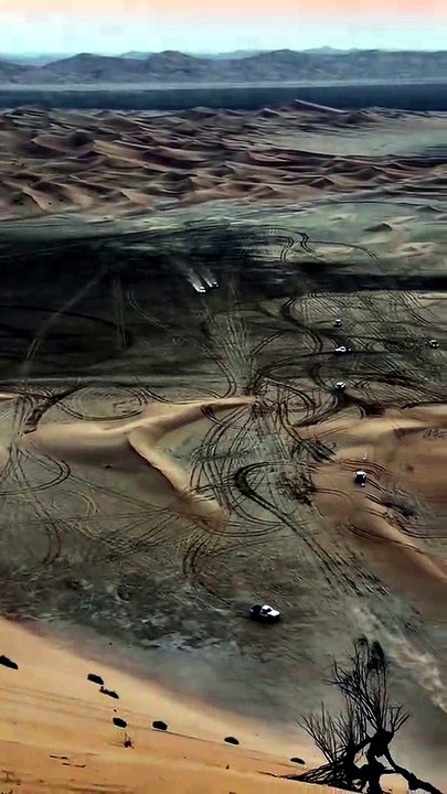 Desert safari - video Dailymotion