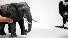 Colossal Wings! Elephant Fuses With Condor