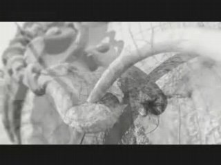 Dir en Grey - GLASS SKIN  spot