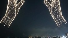 Spectacular Peacock-Shaped Fireworks in the Sky