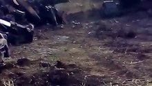 O negocio é cortar e empilhar