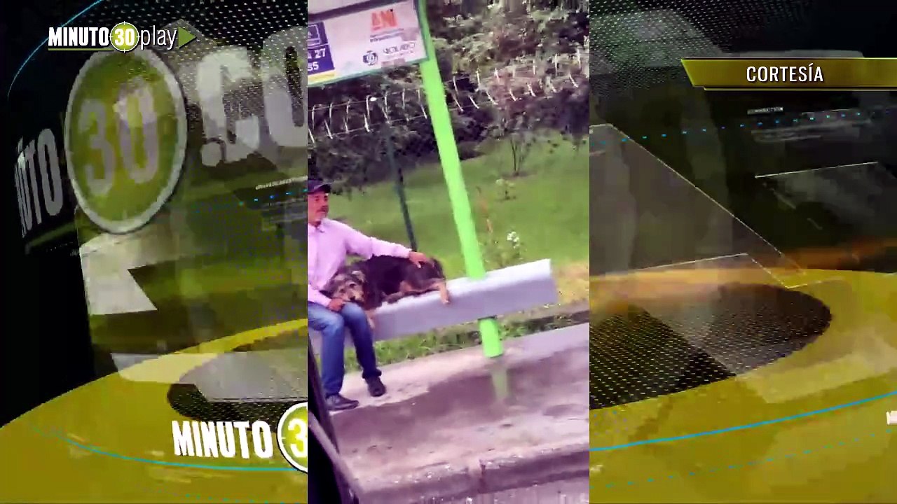 Le negaron subir a un bus por viajar con su perro en El Santuario ...