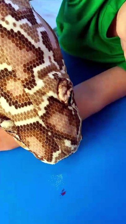 Cardboard first aid kit: what soothes a scratch? - video Dailymotion