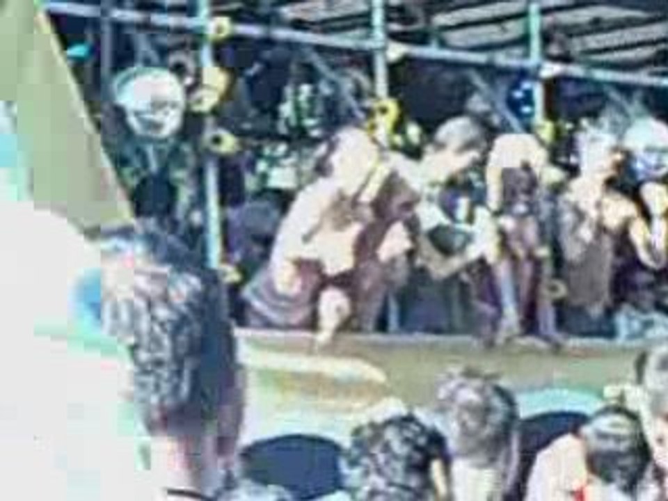 Loveparade 2008 Dortmund Druffitrupp part (2 von 2)