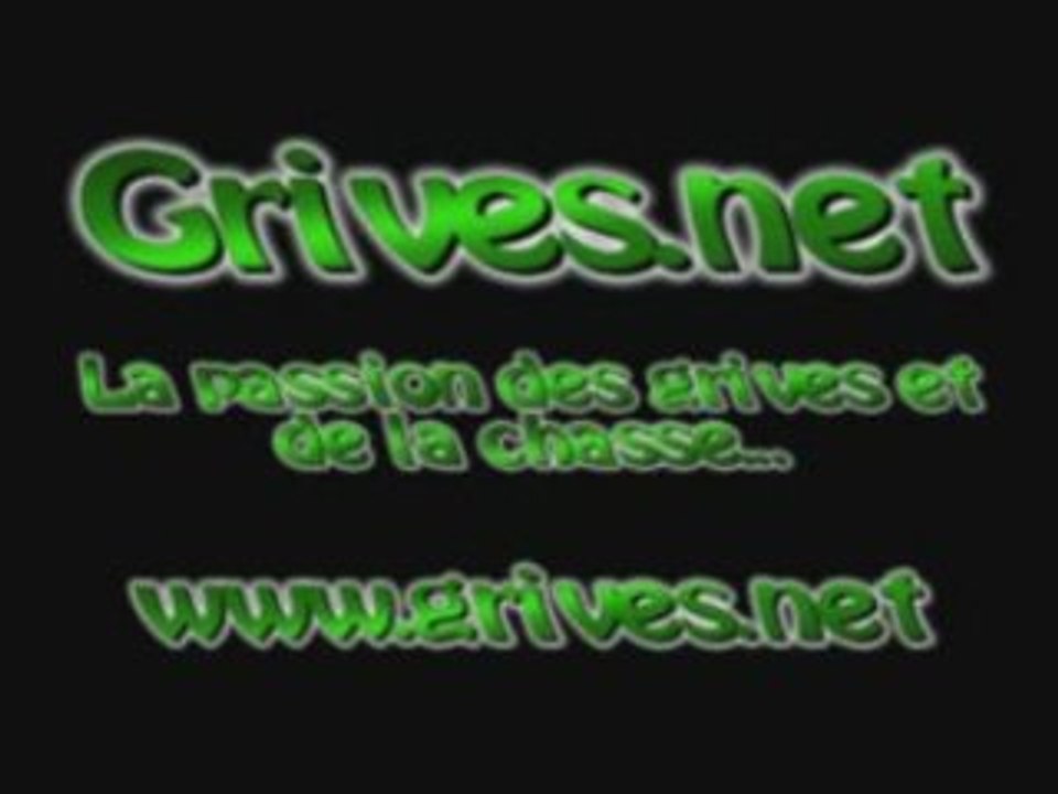 Grive, chasse à la grive, chant des grives