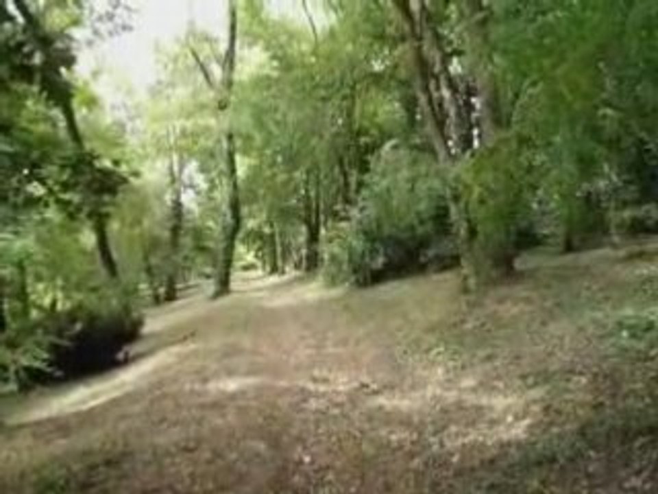 Episode I : La Forêt de Bikoumou