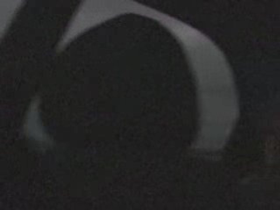 La famille de Bullsbrook (Fake)