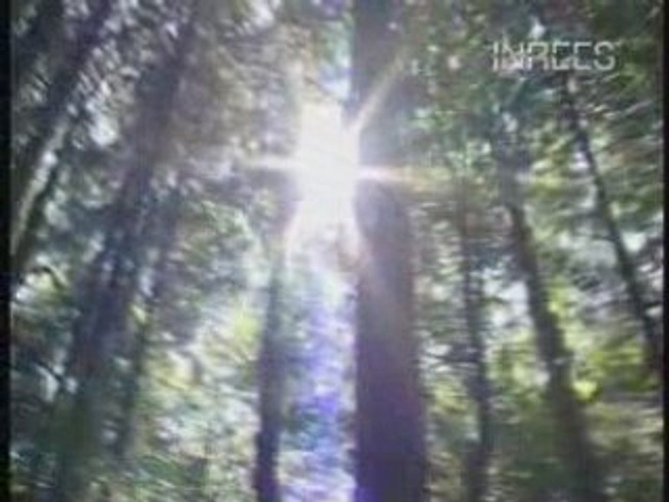 Aux frontières de la mort NDE - EMI (extrait 3)