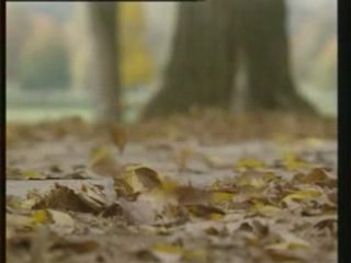 LES DOSSIERS SECRETS DU NAZISME 1