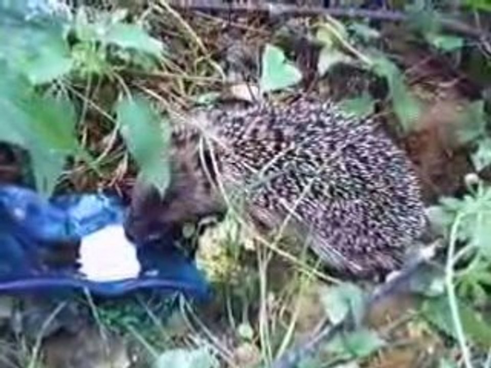 une petite visite