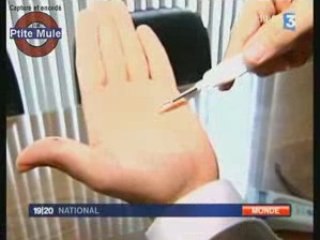 Une puce sous la peau