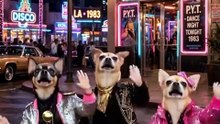 Dancing Cats 😻 Funny Cat & Dog Videos