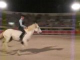 Grau du rOi 2008 saut de cheval à cheval