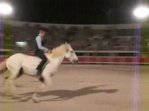 Grau du rOi 2008 saut de cheval à cheval