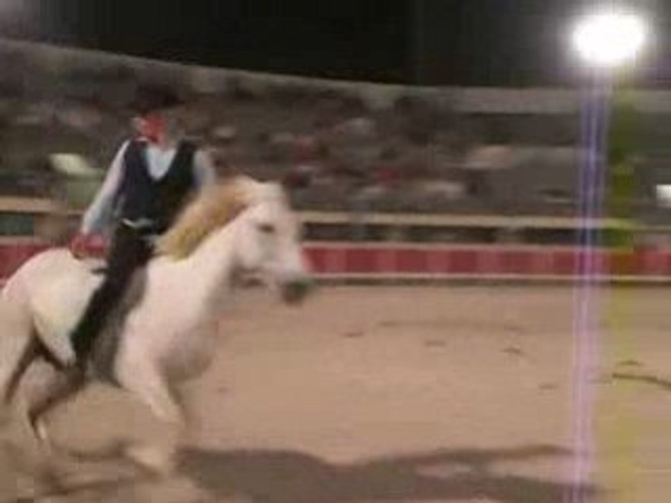 Grau du rOi 2008 saut de cheval à cheval (o2)