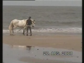 Plage Vacances 2008