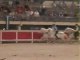 Grau du rOi 2008 saut de cheval à cheval (o3)