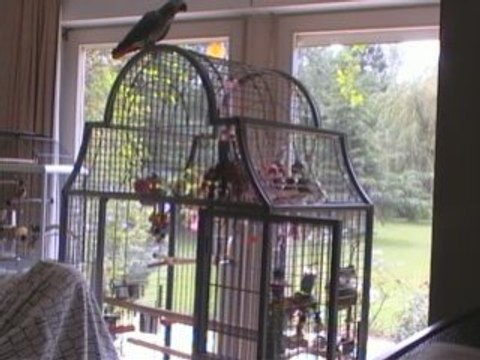 Tu viens aller viens