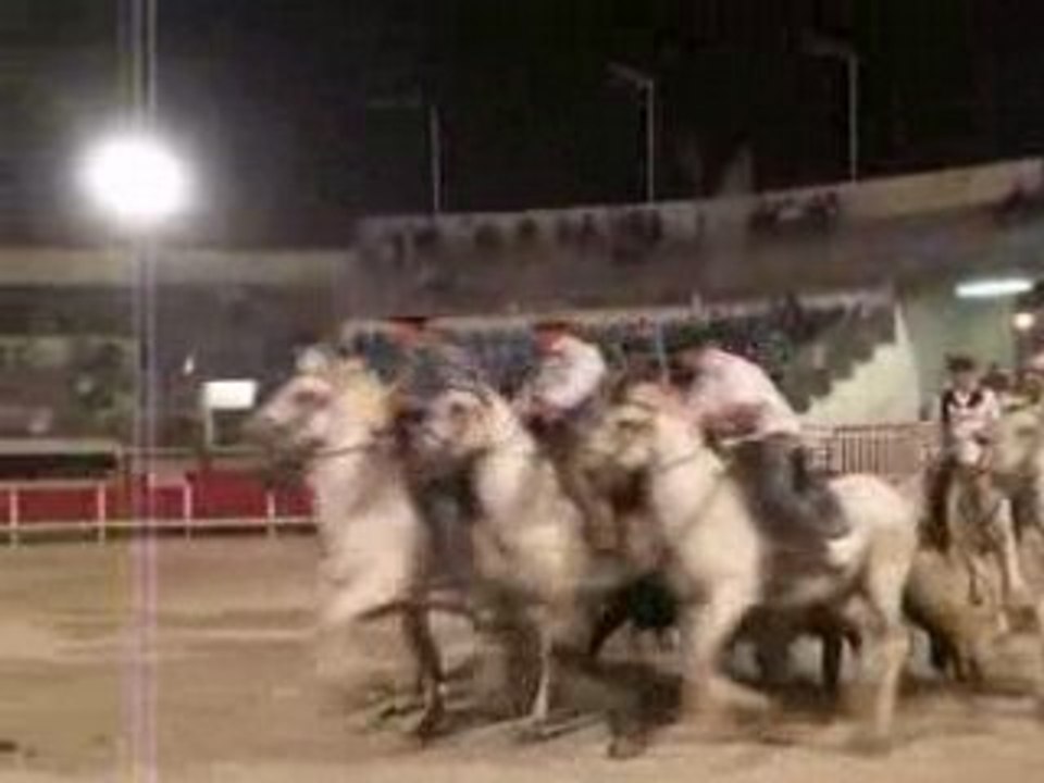 Grau du rOi 2008 Abrivado