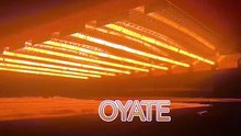 Halogen Quartz Heating Tube 498mm 220v 1500w Heat Lamps for Screen Printing Machines