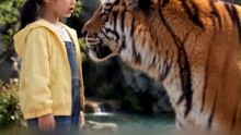 ✨An Eight Year Old Girl Joins Her Animal Friends to Protect Her Dad’s Beloved Zoo#drama