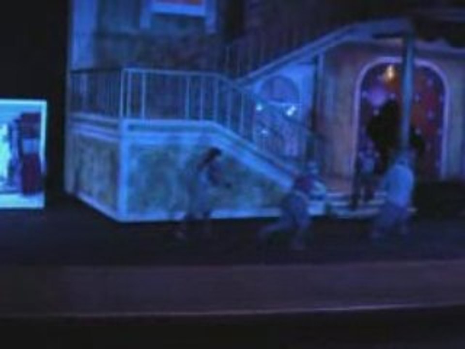 mousquetaire de richelieu "scène d'épée"