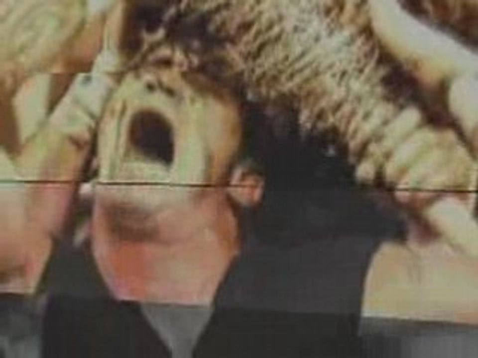 WWE Randy Orton