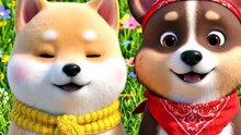 The Sweetest Apple Sharing Moment! 🍎🐶