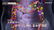 나이가 들면서 가장 어려운 살 빼기! 캡슐레이션 효소로 해결 가능?