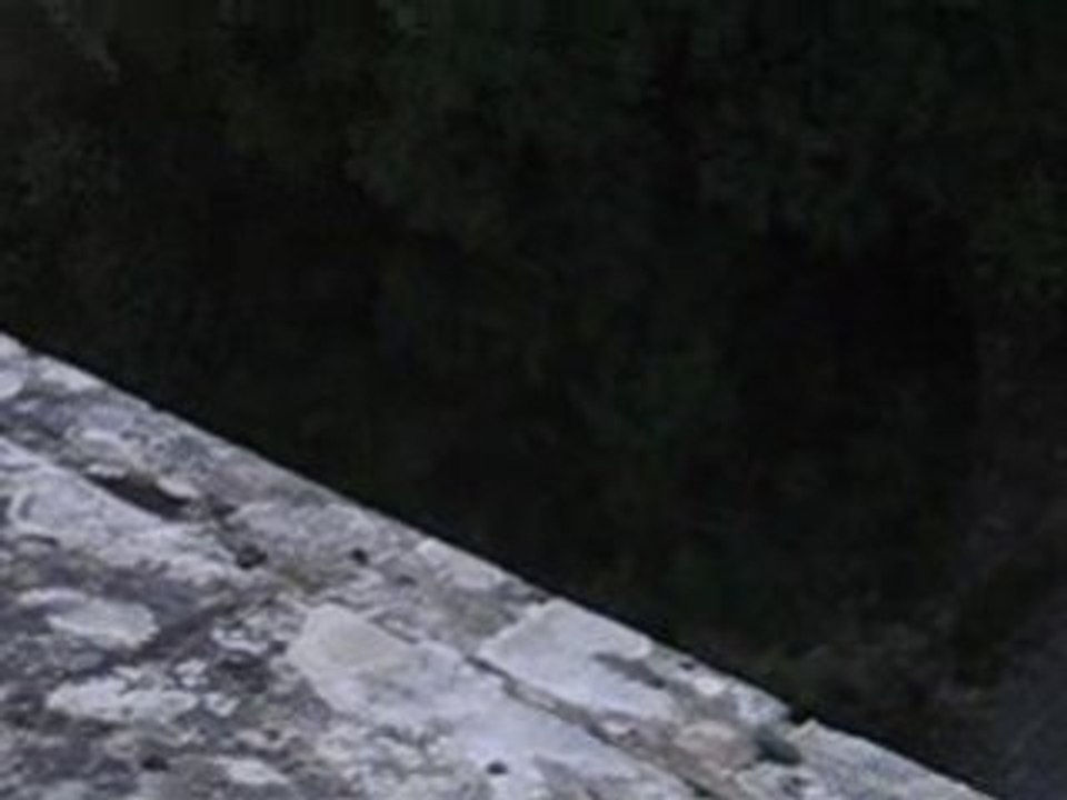 le saut du sale crapaud