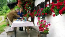 Die Rosenheim-Cops -354- Vergeigtes Leben