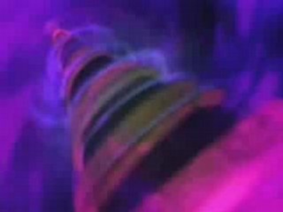 Invocation Shiva