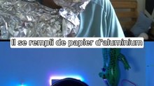 Twitch : ImDylanOff - 20h 🤣