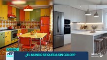 ¿Están desapareciendo los colores de nuestro alrededor?