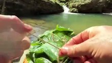 Outdoor Nature Cooking 🌿🔥 | Cooking Delicious Food in the Wilderness