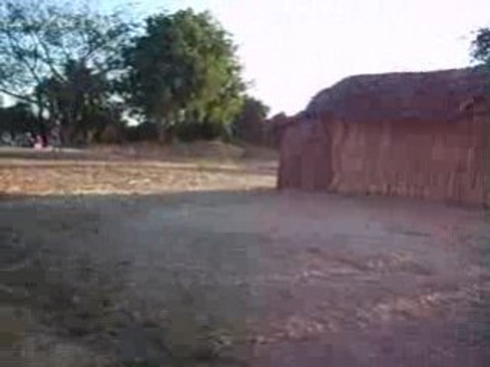 Route Allée des baobabs
