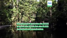 Brasil reduz desflorestação na Amazónia, mas El Niño e disputa eleitoral ameaçam avanços