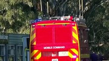 Australijska posłanka Helen Haines ciężko ranna w ataku samochodem