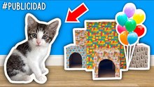 Mi gato Henry cumple 1 año