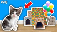 Mon chat Henry fête son 1er ANNIVERSAIRE !