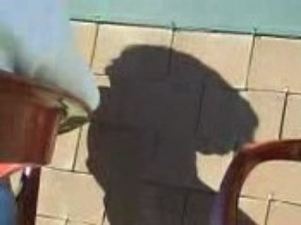 P'TiTE DiSCUTiON, LES GENS