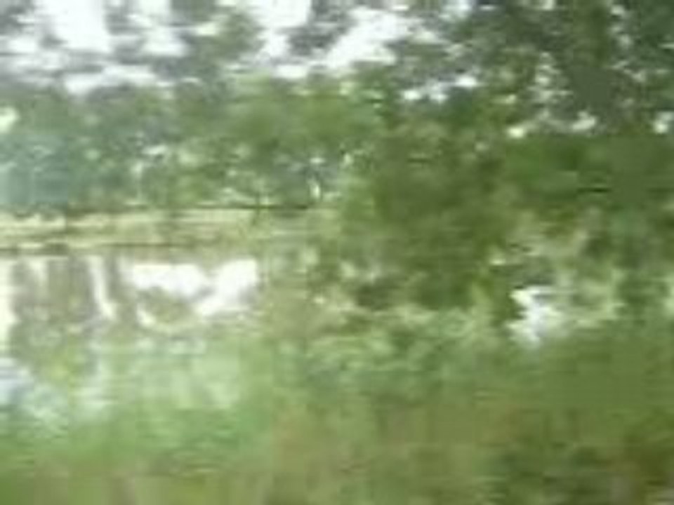 Canal