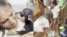 The True Essence of Life Revealed: A Young Girl's Dream Gift Unveiled