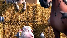 : Animals Doing Gym in the Farm and Sheep Wants Muscles 😂💪