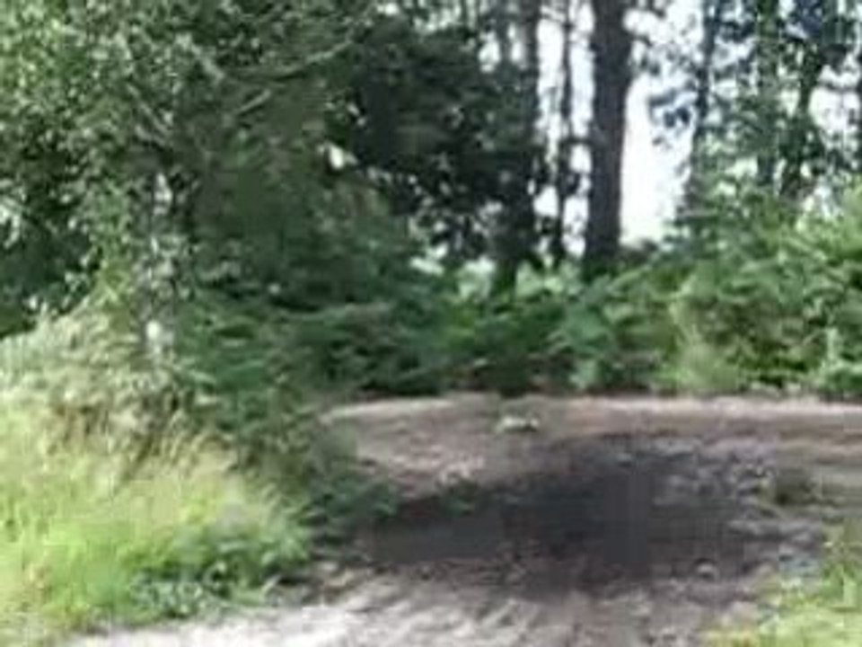 Double no foot