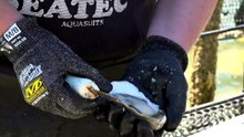 South Australian oyster farmers face challenges after algal bloom