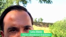 Więcej parków, rzek i zielonych korytarzy: Guimarães szykuje się na upały