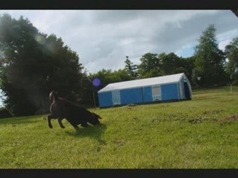 Le Paradis à l'état pur