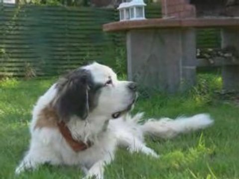 Photo Récit ulysse 082008